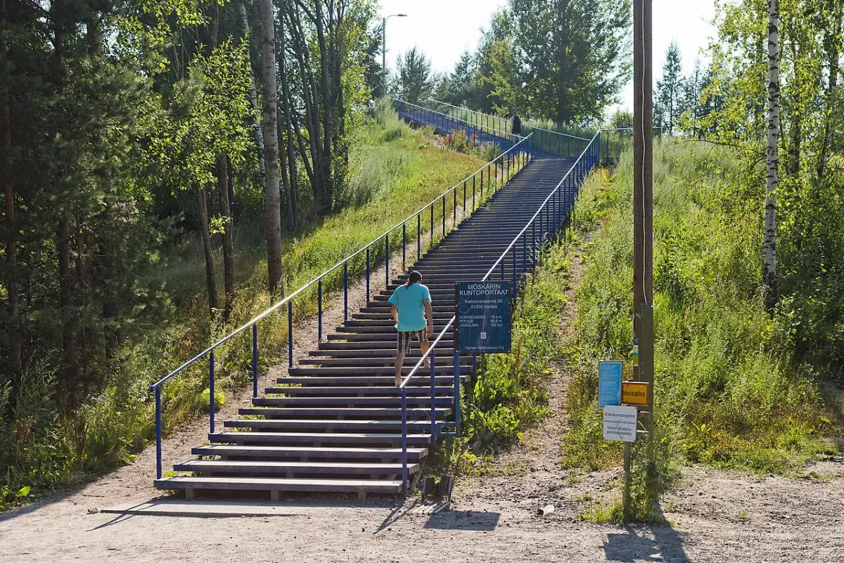 A person in a teal T-shirt climbing a long outdoor fitness staircase between trees, a classic stair-climbing exercise snack
