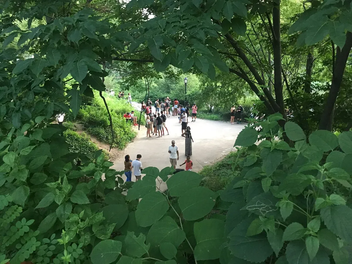 Pokémon GO players gathered on a leafy path in Central Park, New York, in July 2016