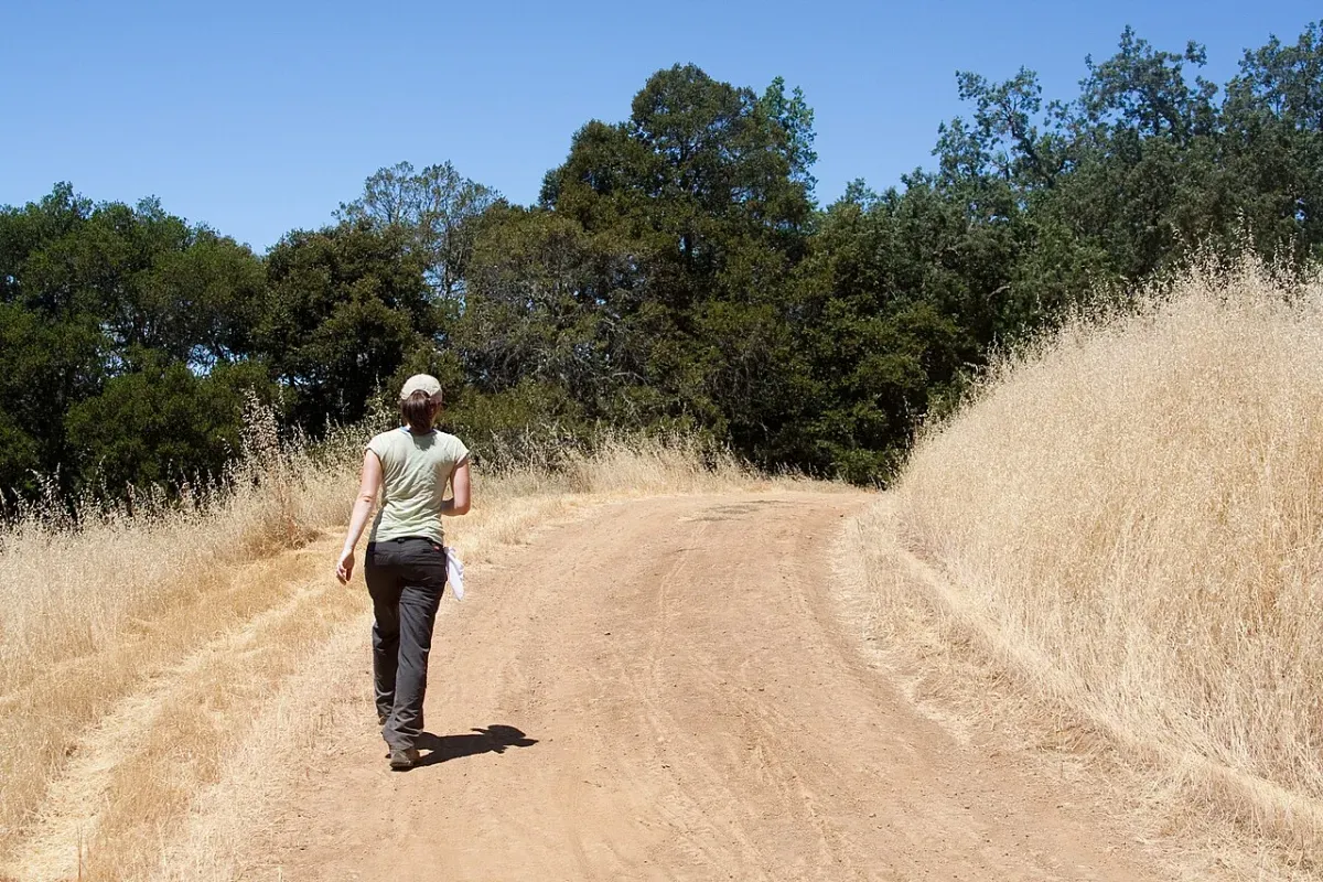A walker in a cap heading uphill on a dirt trail between dry grass and oak trees