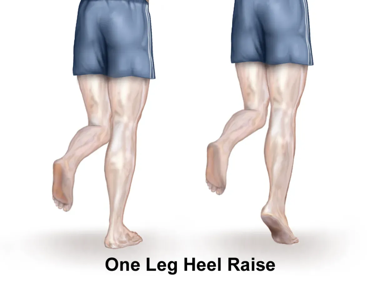 Illustration of a single-leg heel raise, showing the lifting leg rising onto the ball of the foot