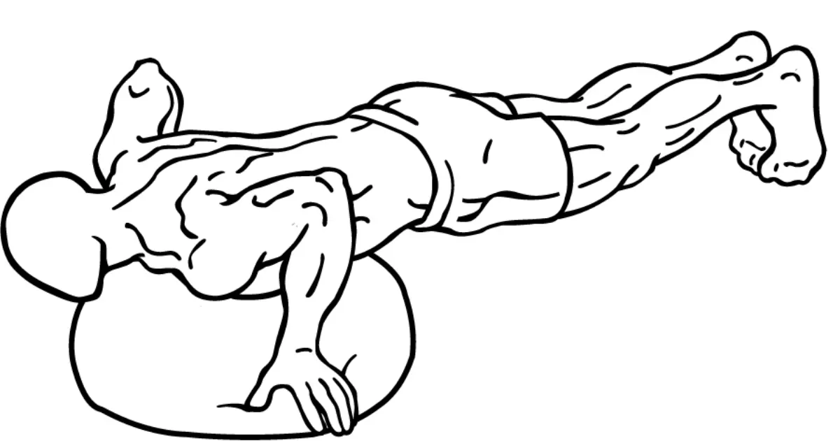 Line illustration of a push-up on a stability ball, body in a straight line