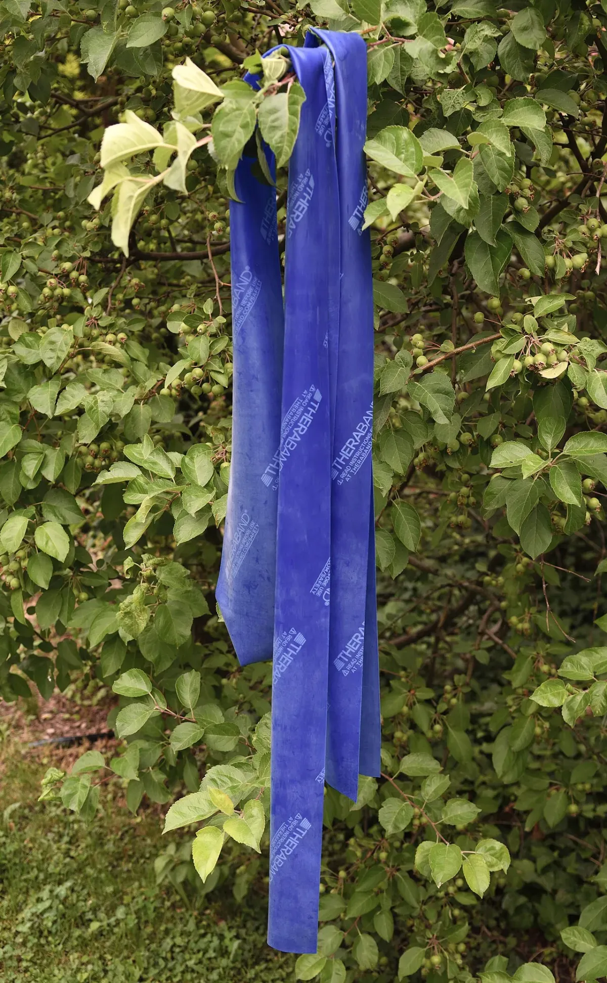 Resistance bands, the only equipment the cuff strengthening needs