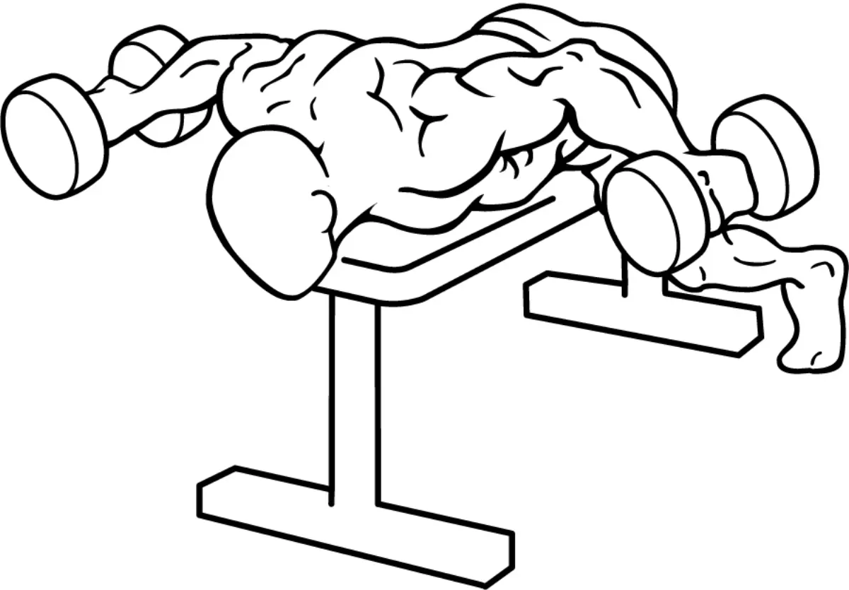 Illustration of a lying rear lateral raise for the rear delts