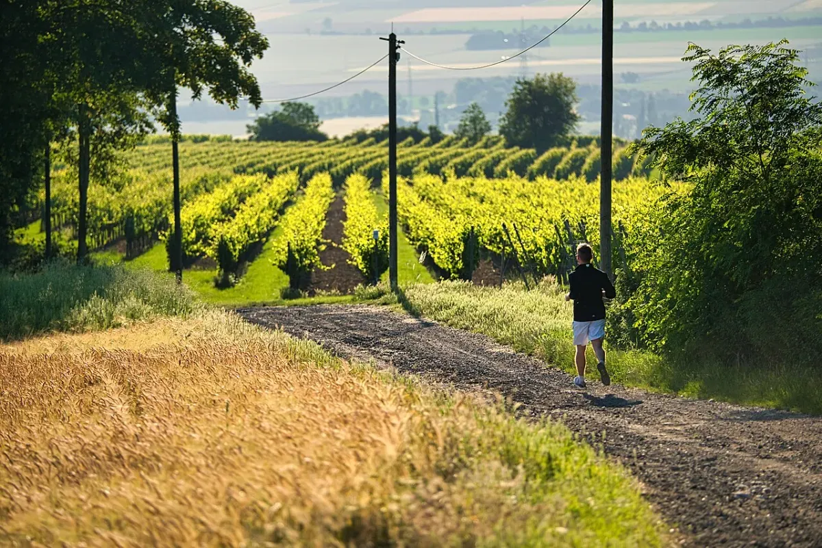 Runner on a woodland path in the early morning