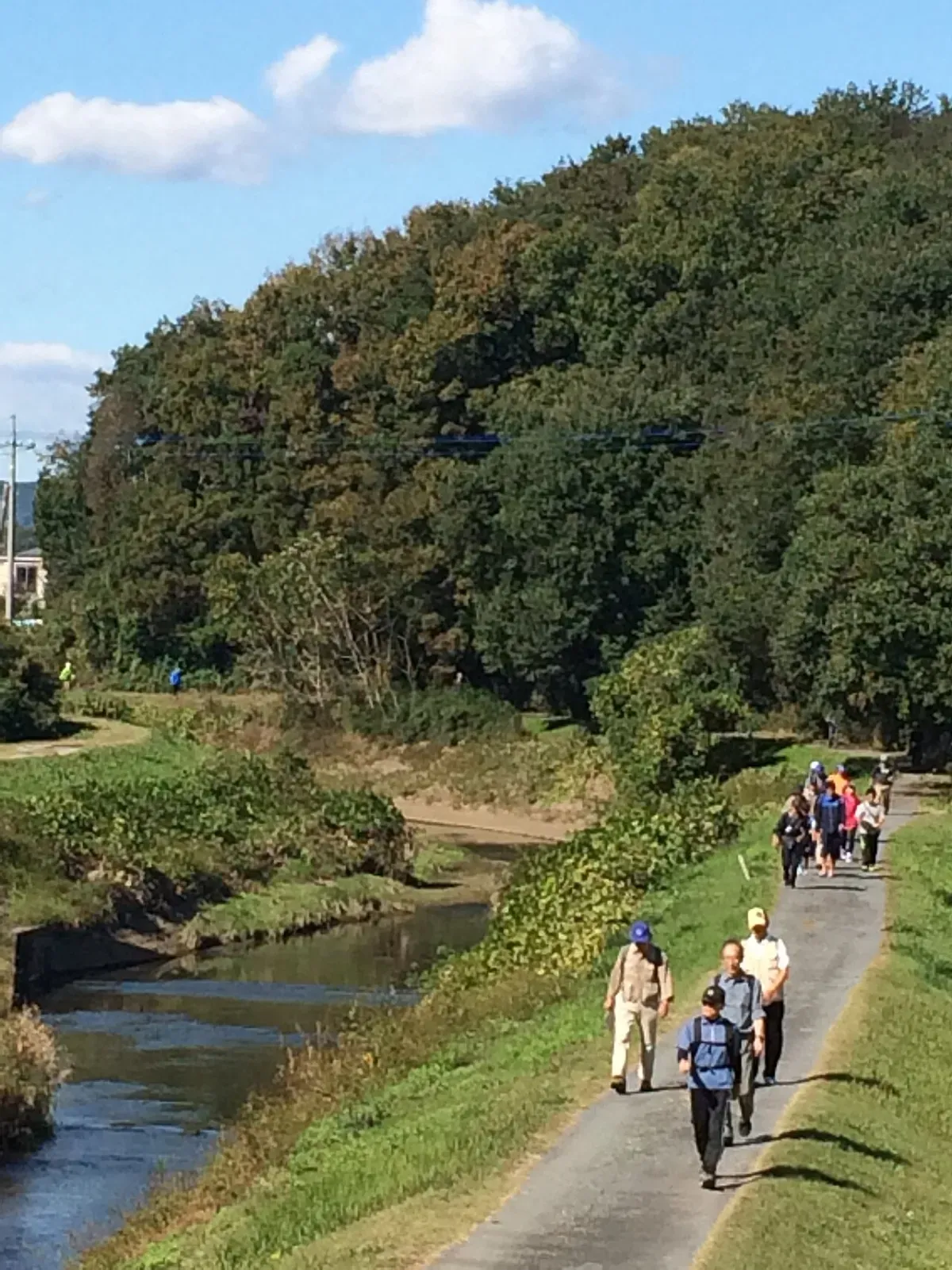 晴れた日に川沿いの遊歩道を列になって歩くウォーキングの参加者たち