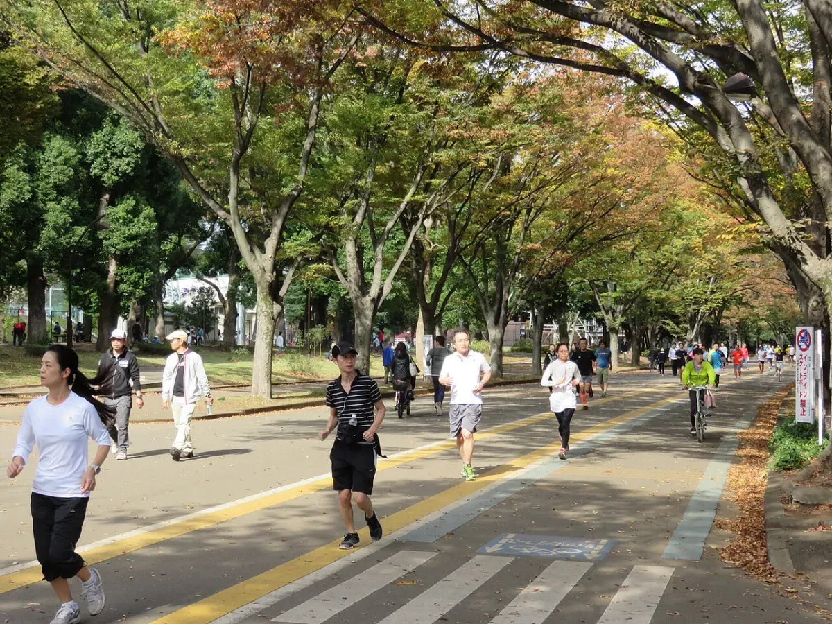 駒沢オリンピック公園の並木道のコースを、歩く人や走る人、自転車が行き交う様子